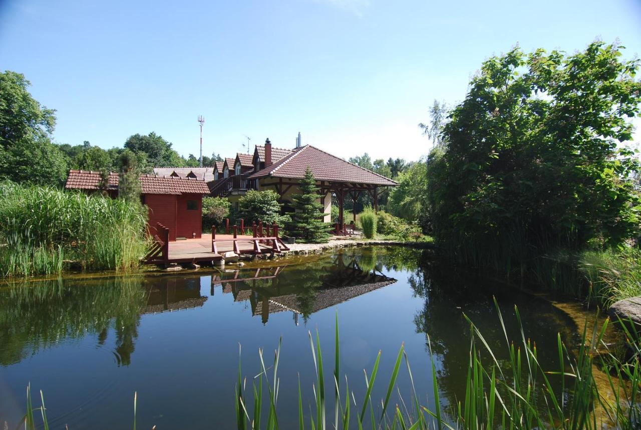 Ivanek guest house Zvíkovské Podhradí Extérieur photo