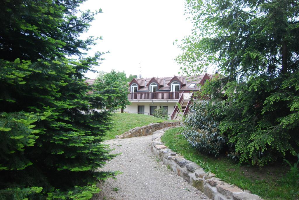 Ivanek guest house Zvíkovské Podhradí Extérieur photo