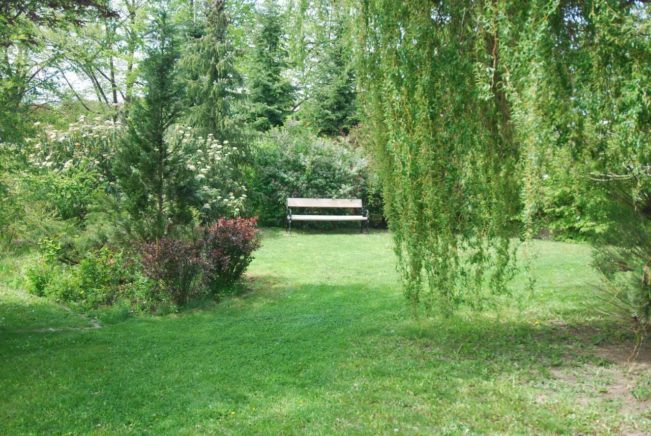 Ivanek guest house Zvíkovské Podhradí Extérieur photo